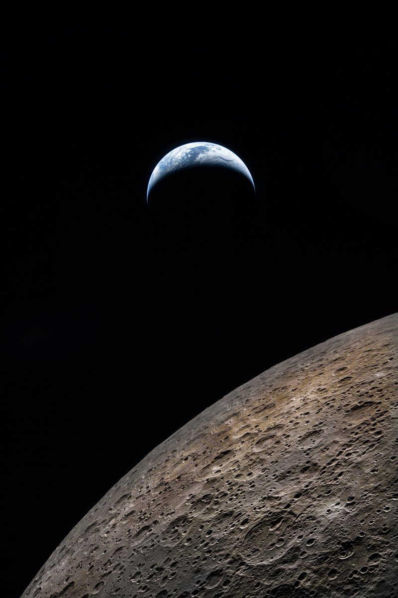 Franco Meconi tweet media