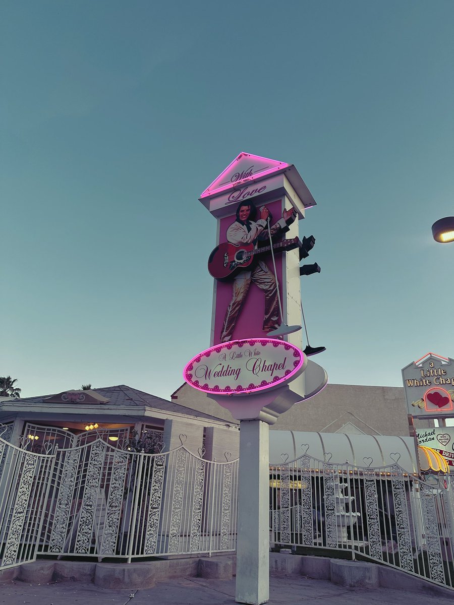 GG MAGREE tweet media