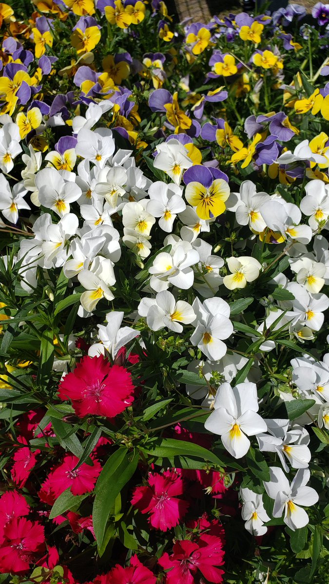 mitsuakiyajma tweet media