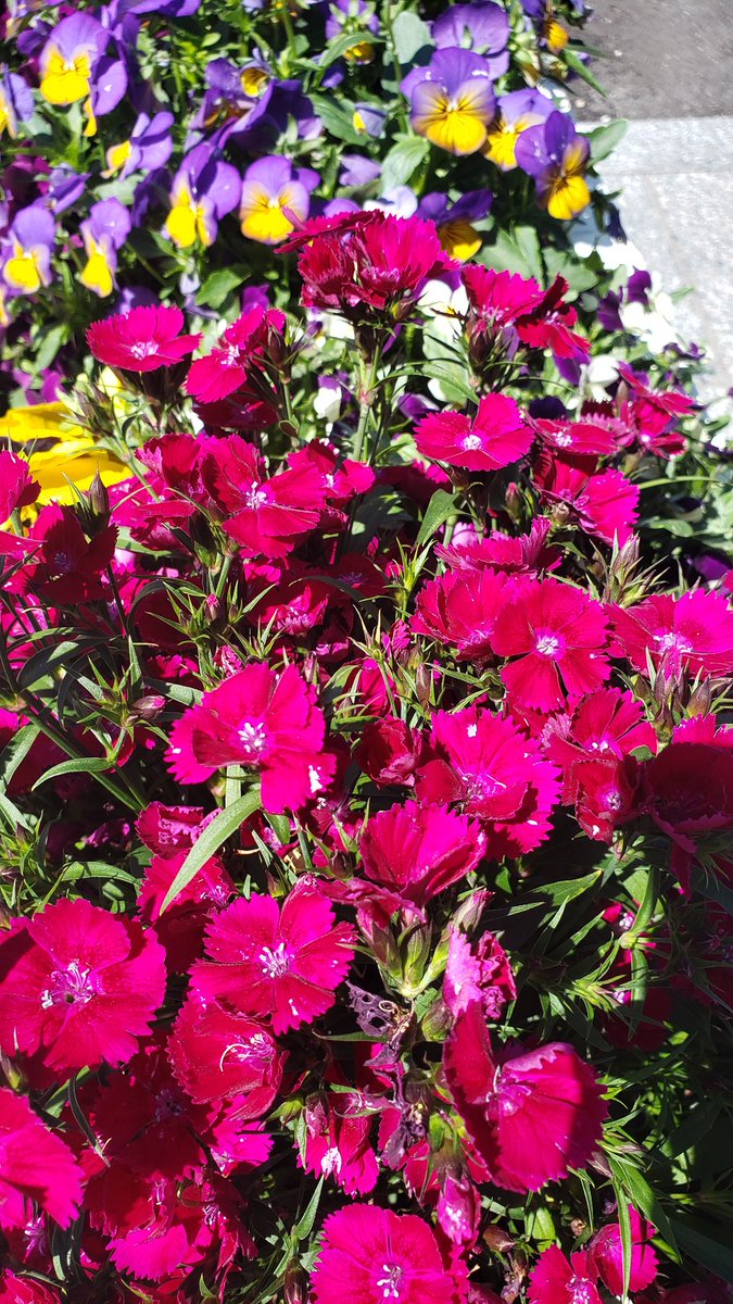 mitsuakiyajma tweet media