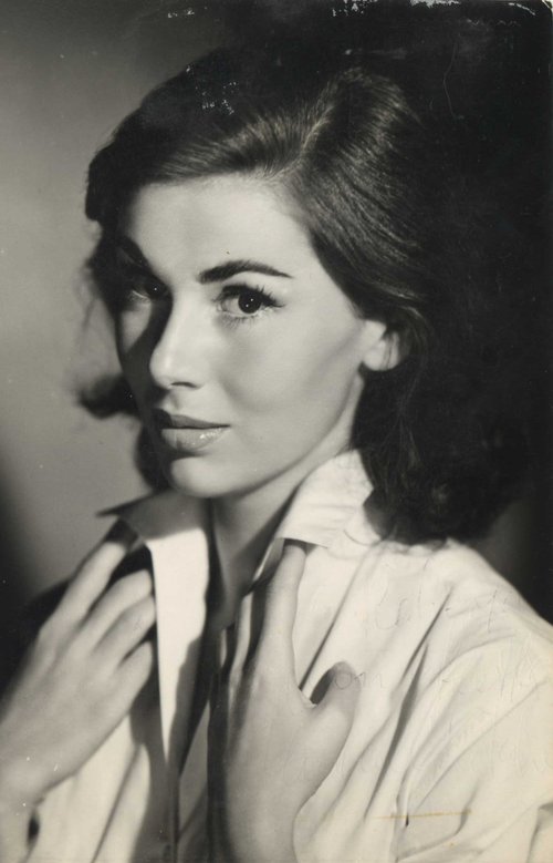 Giorning tweet media