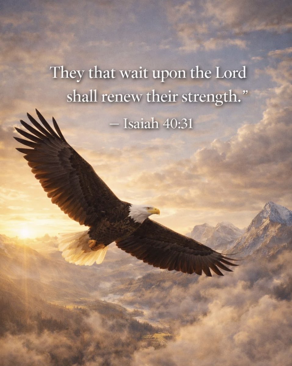 Rocio Garcia tweet media