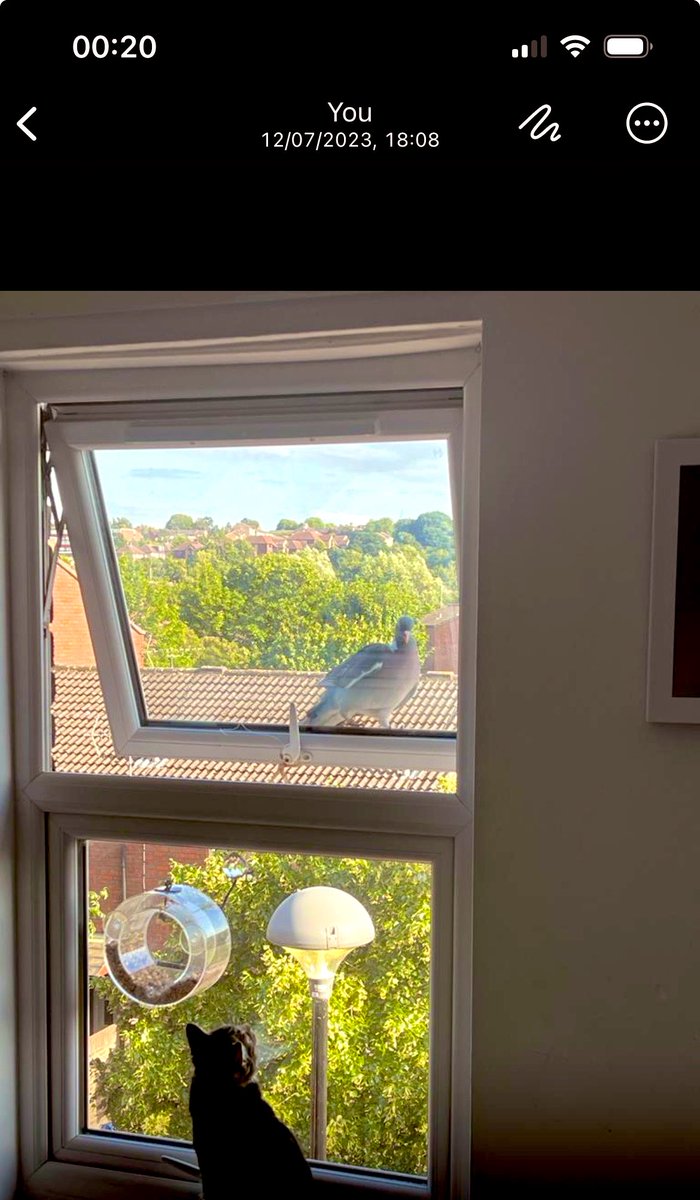 BelteshazzarFreeman108 tweet media