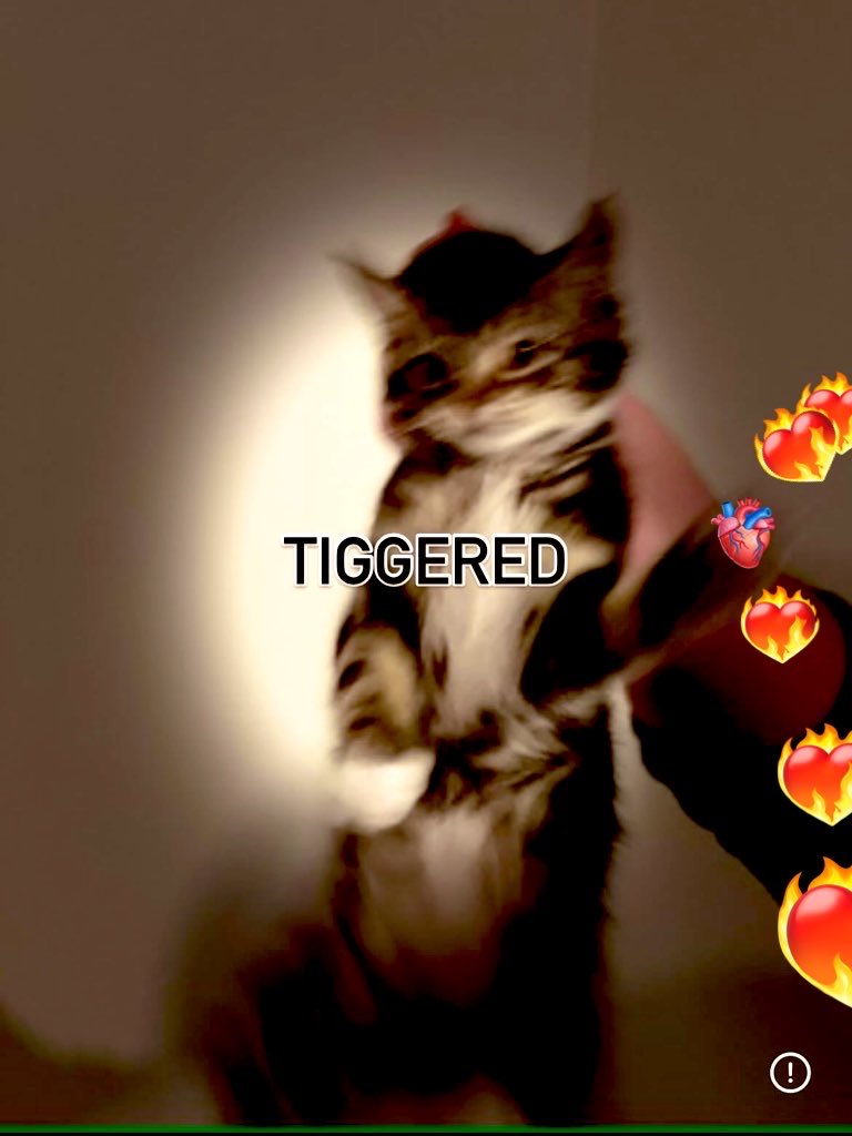 BelteshazzarFreeman108 tweet media