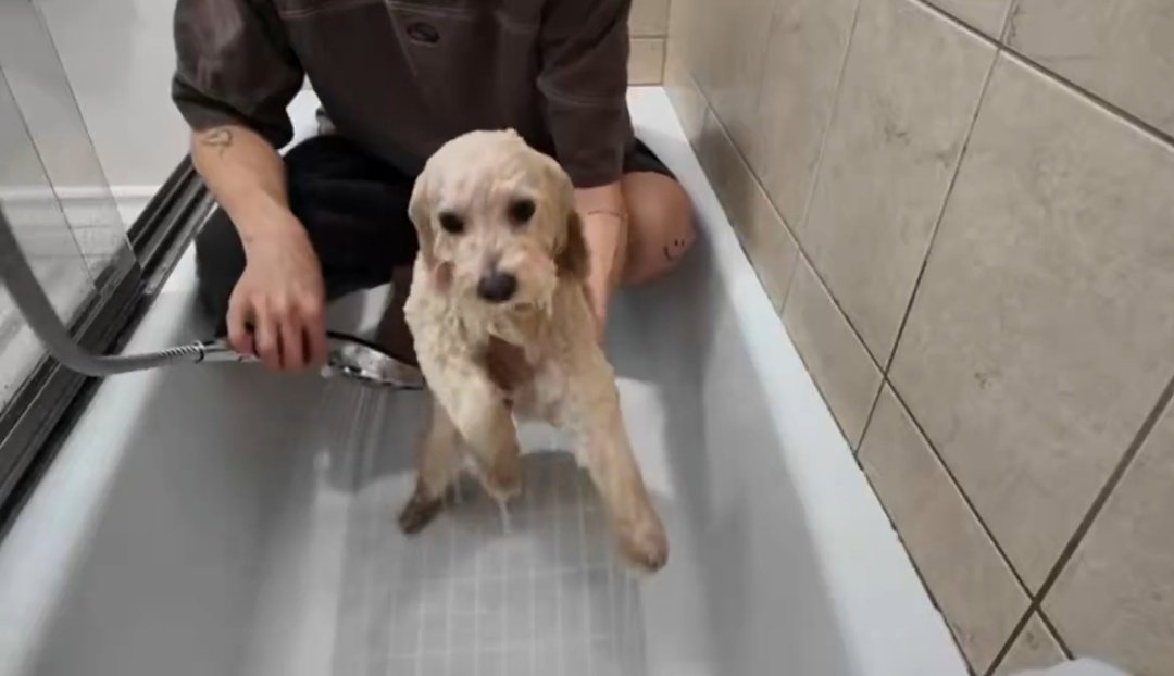 𝐂𝐡𝐞𝐑ྀི 🌅🍒 tweet media