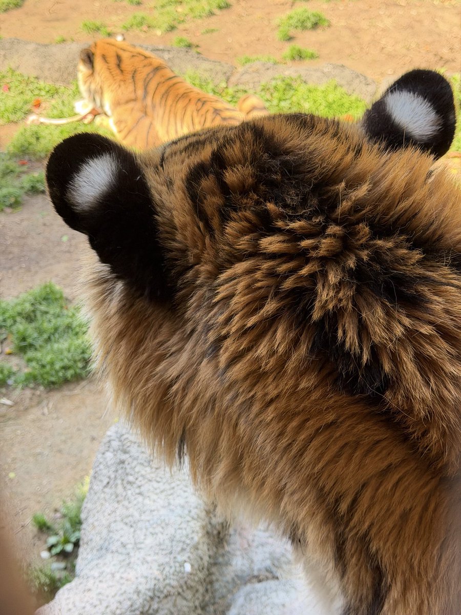 Ajax ⚣ tweet media