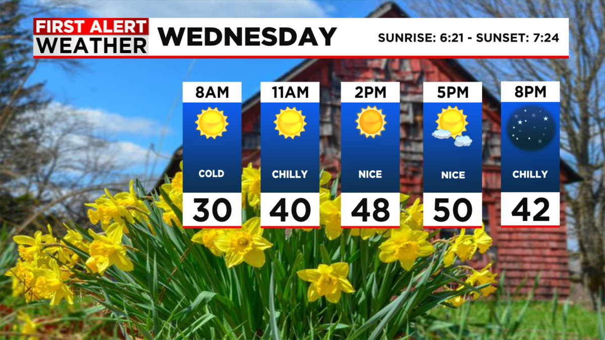 Dan Brown tweet media