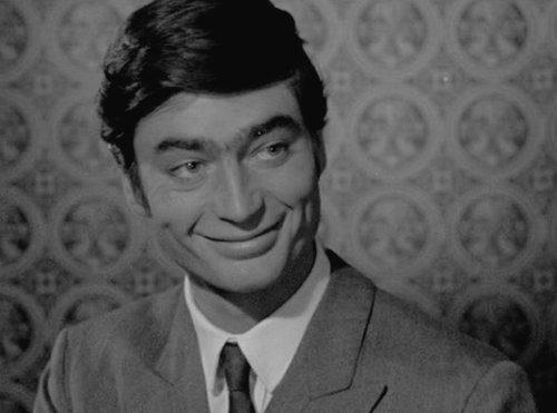 Giorning tweet media