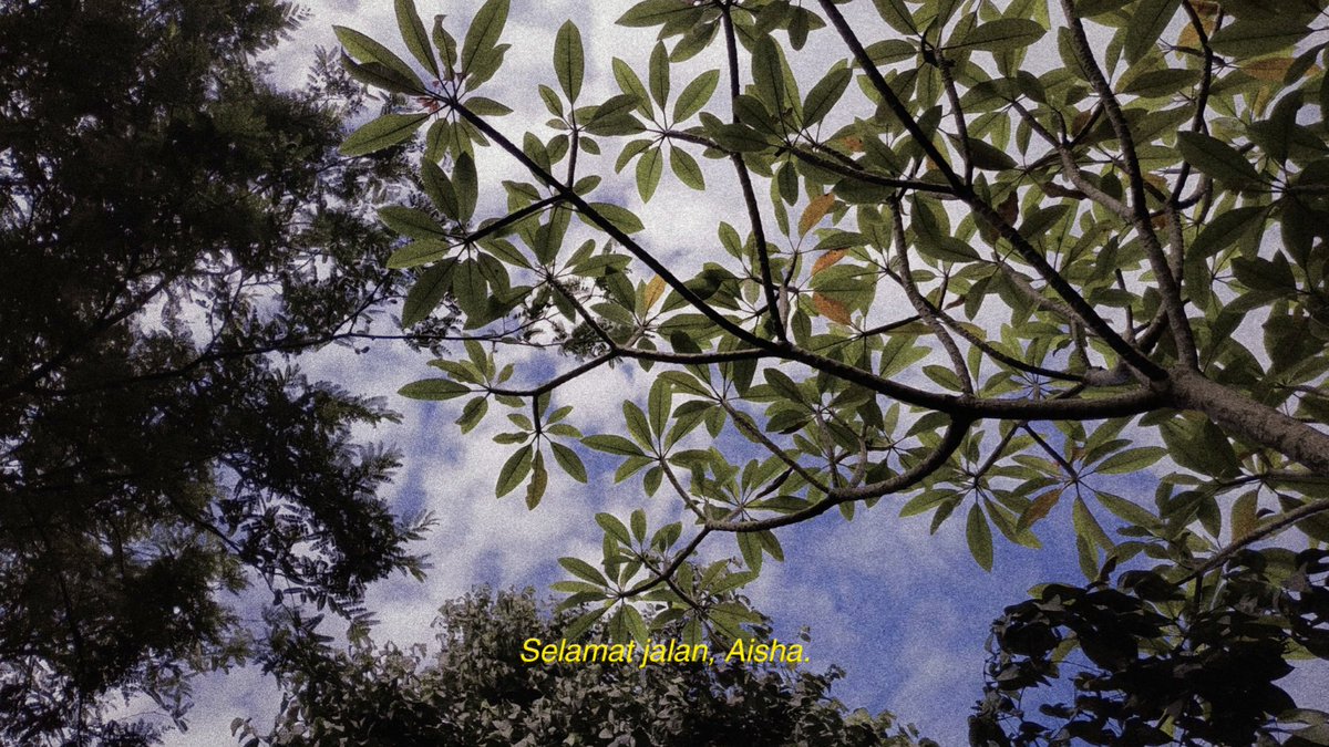 𝐒𝐇𝐀𝐑𝐆𝐀 𝐒𝐈𝐌𝐁𝐎𝐋𝐎𝐍. tweet media