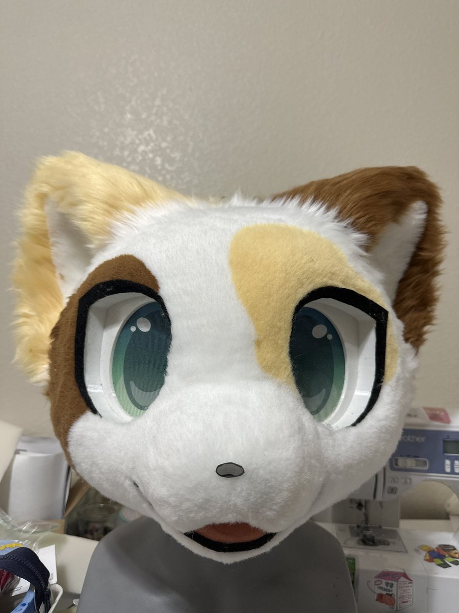 RinnsWorks's tweet photo. @emocheeeto Mine is real weird, but the results look like this! https://t.co/ltisnbl665