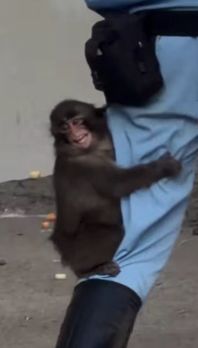 baekhyun_a tweet media