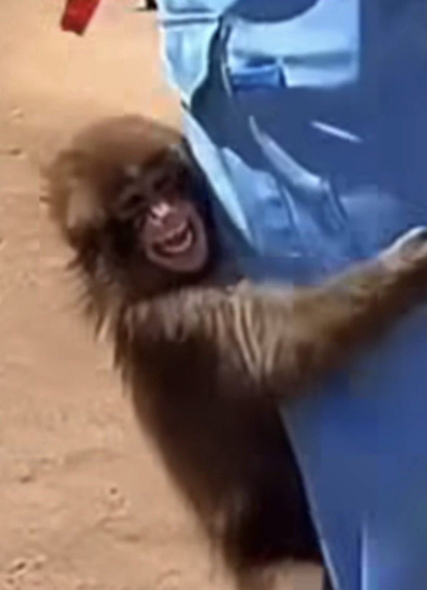 baekhyun_a tweet media