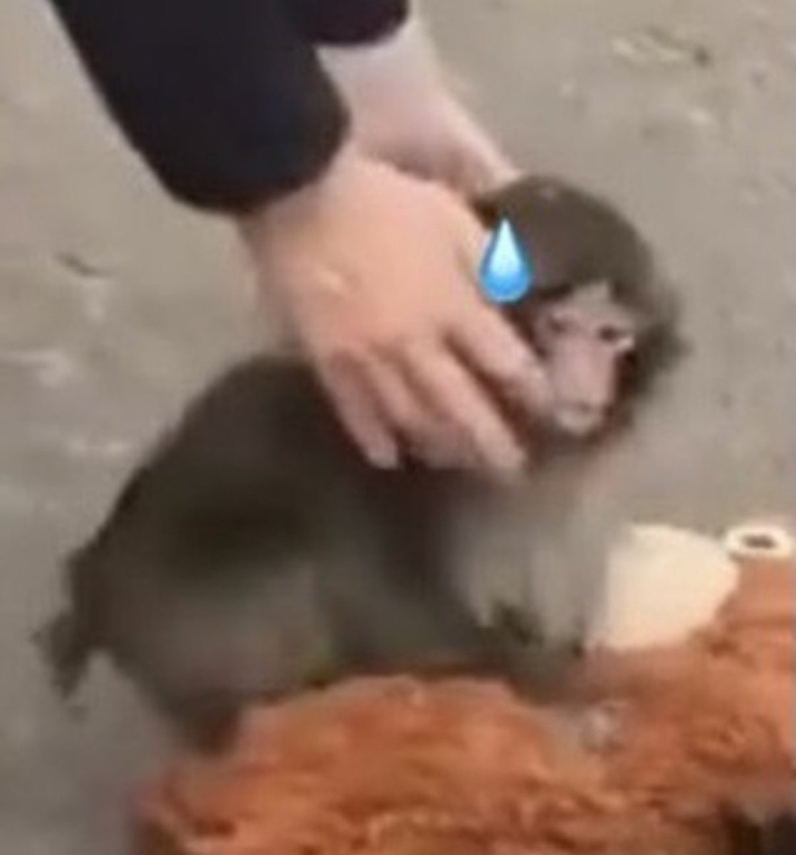 baekhyun_a tweet media