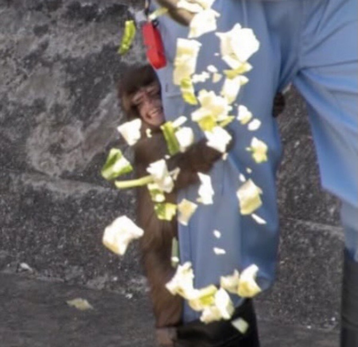 baekhyun_a tweet media