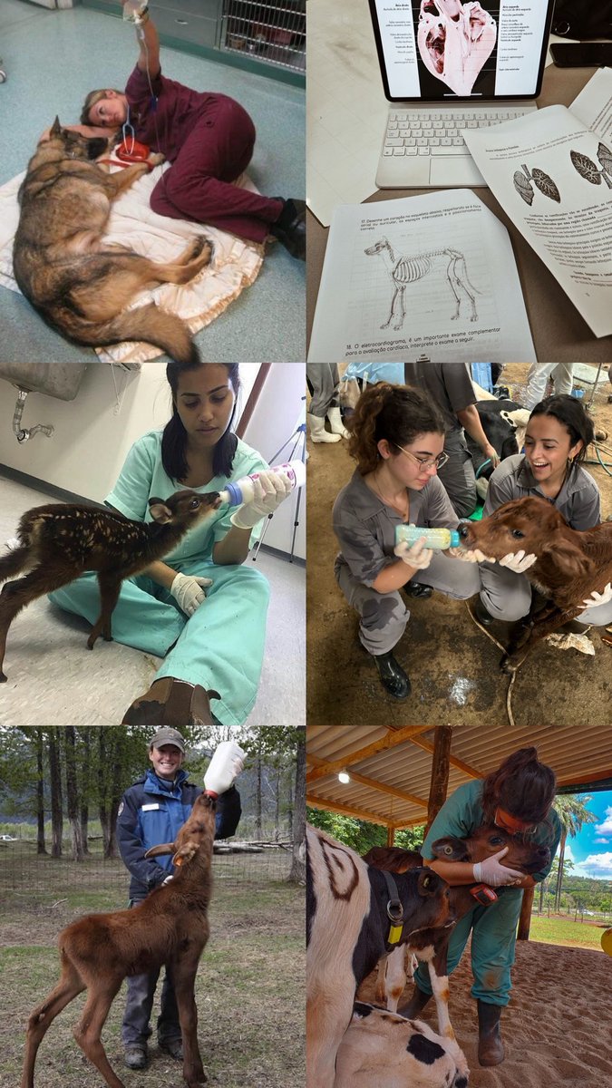 juju_bina⁷ tweet media