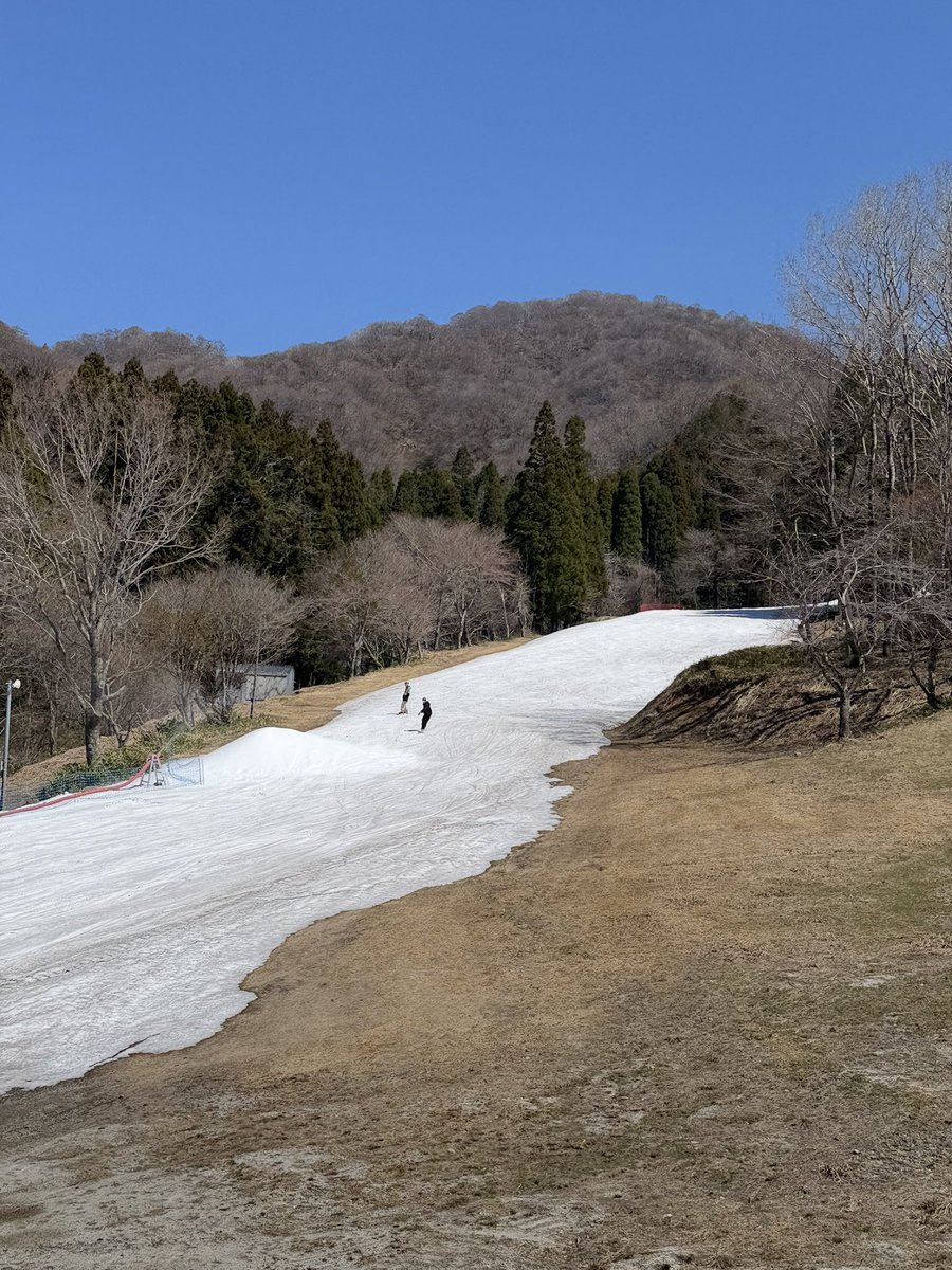 Snowlife_Mi23 tweet media