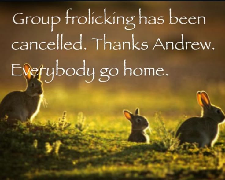 sugar 🍰 tweet media