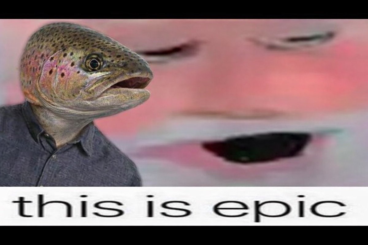 coolbro_eth's tweet photo. @stekisteks It’s BigTrout brother 🐟 https://t.co/ywL2DVBpah