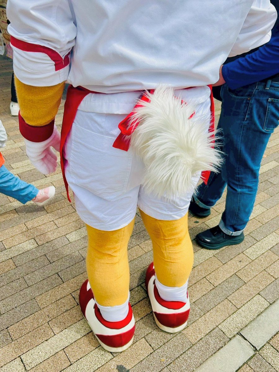 秋田犬のハチロー tweet media