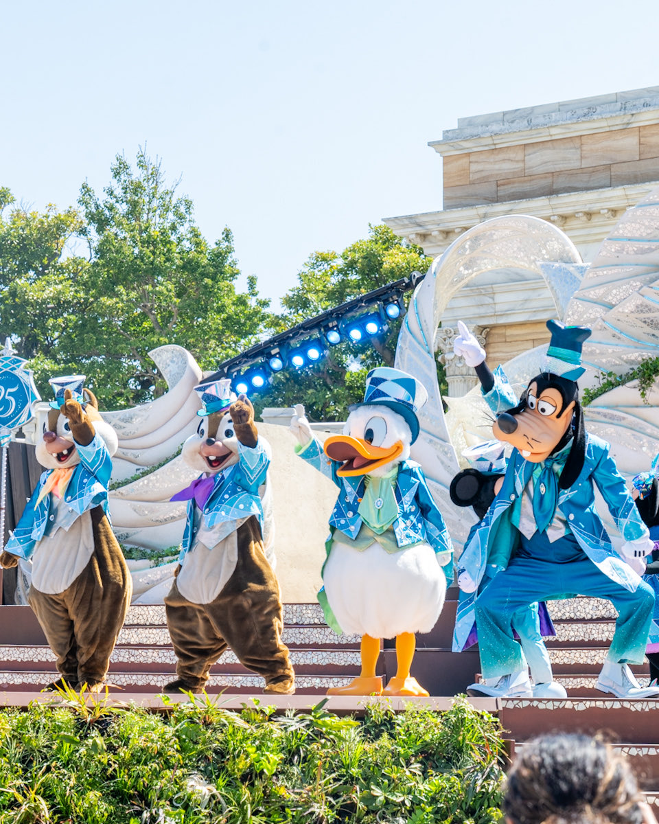 MezzoMiki tweet media