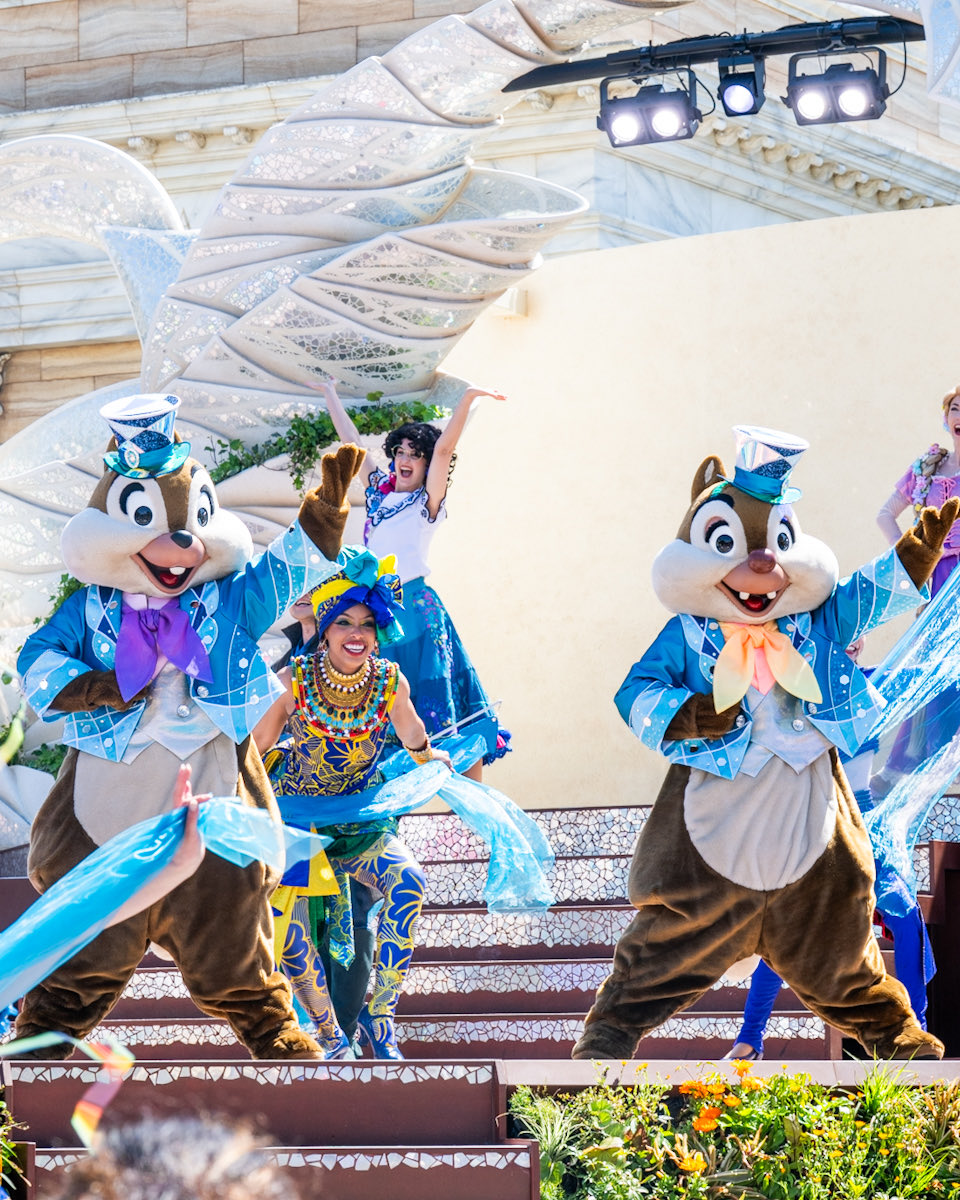 MezzoMiki tweet media