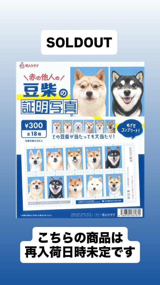 完売のお知らせ📢 📌 豆柴の証明写真 ご好評につき完売いたしました