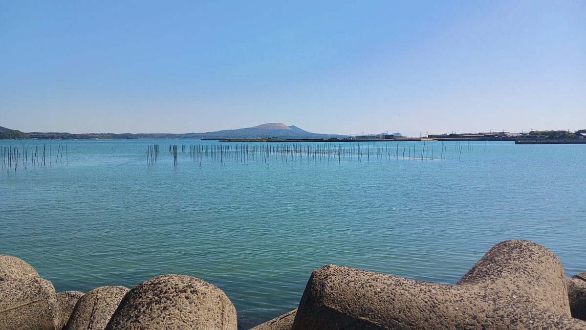 占い師 碧朽葉 緑(あおくちば みどり) tweet media