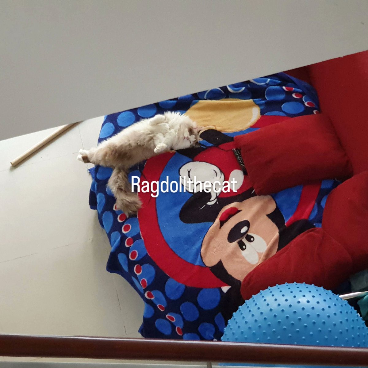 d_an🧶꜀(^. .^꜀ )꜆੭ tweet media