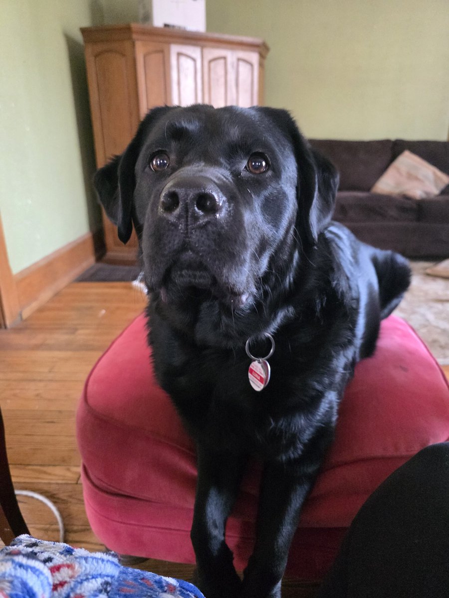 Meghan is tired of nonsense tweet media