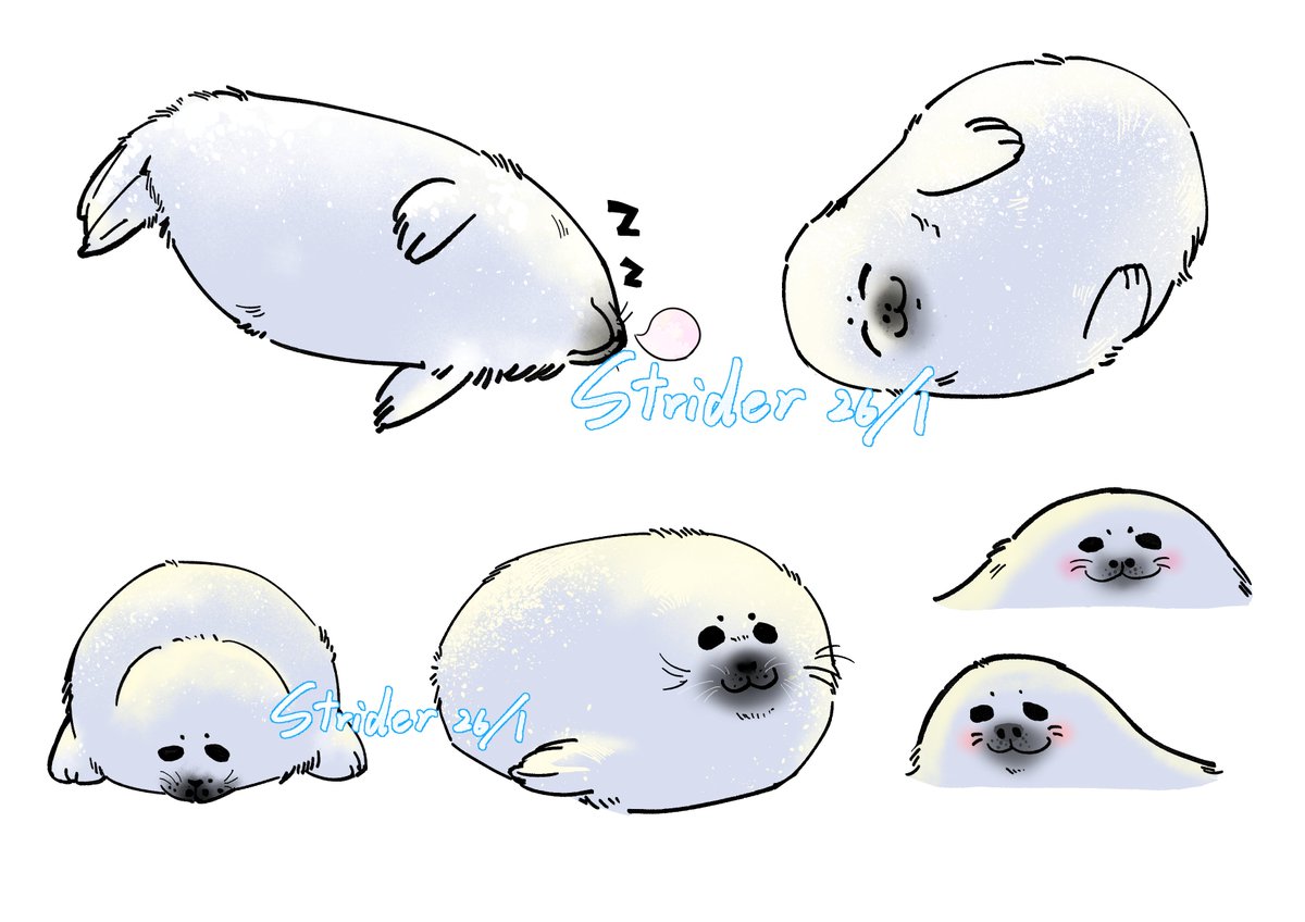 Strider✨Comms open🌟 tweet media