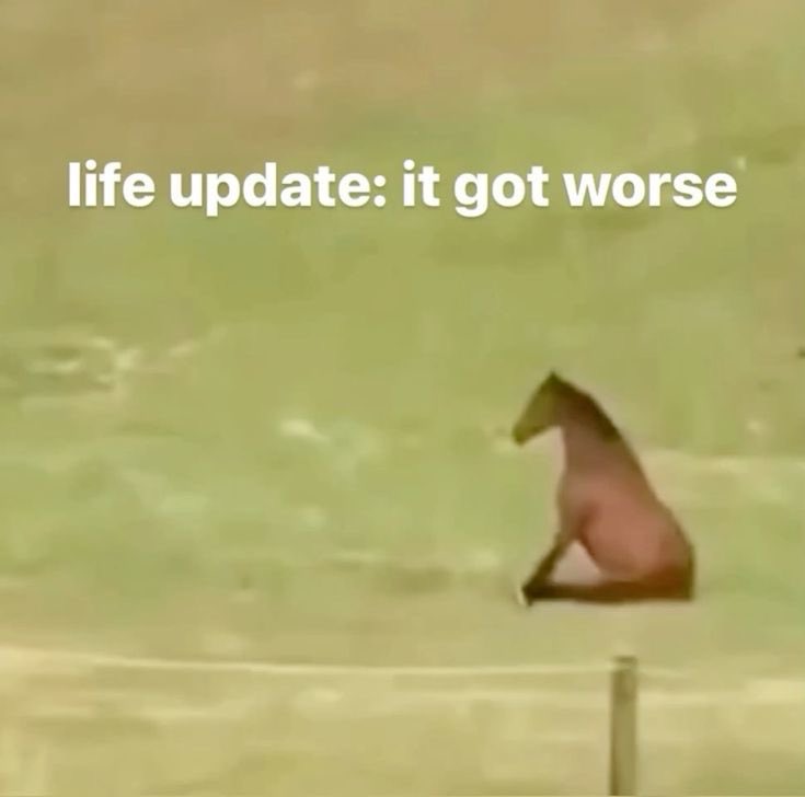 maggie (@maggkilfeather) / Posts / X