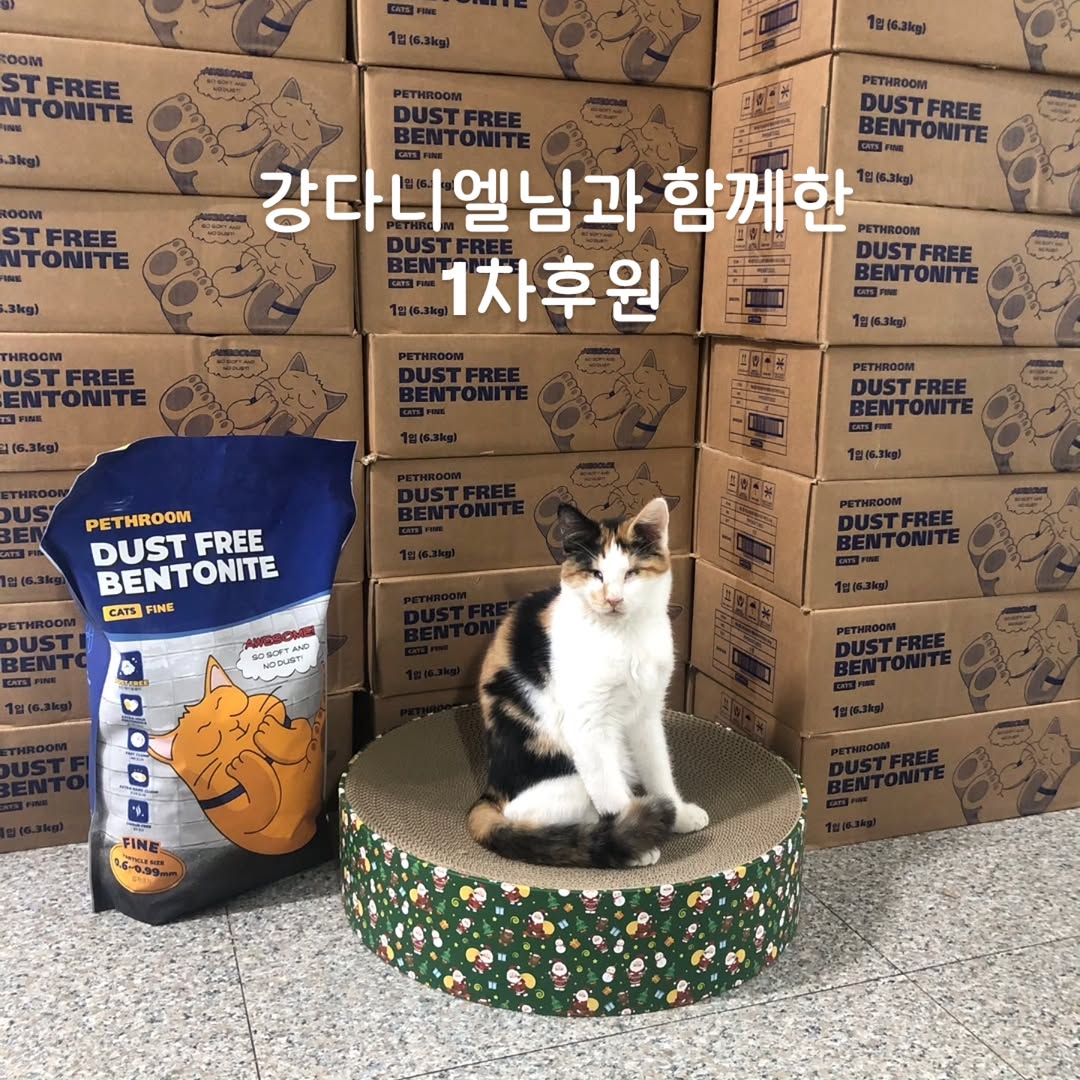 ૮⍝• ᴥ •⍝ა 𝕊𝕥𝕒𝕪 ﮩ٨ـﮩﮩ٨ـ♡ﮩ٨ـﮩﮩ٨ـ tweet media