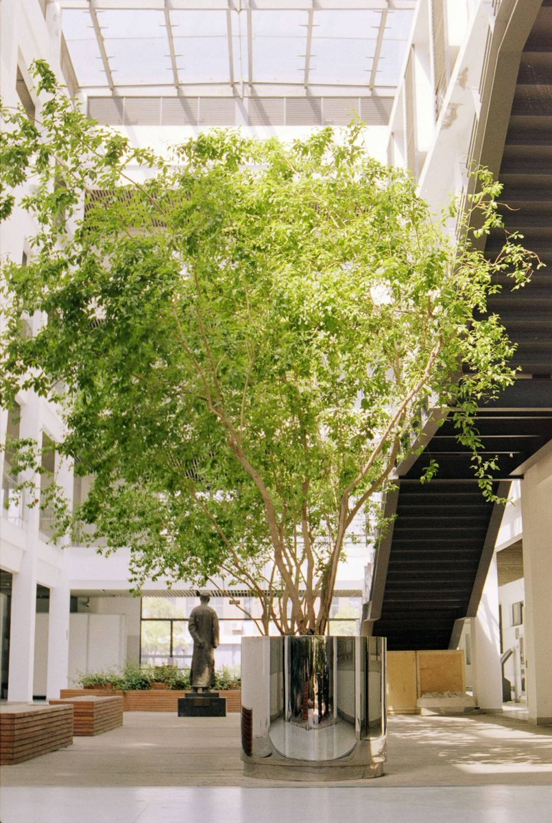 Toby Kaa tweet media