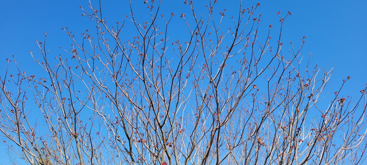 TheÐogeGlory tweet media