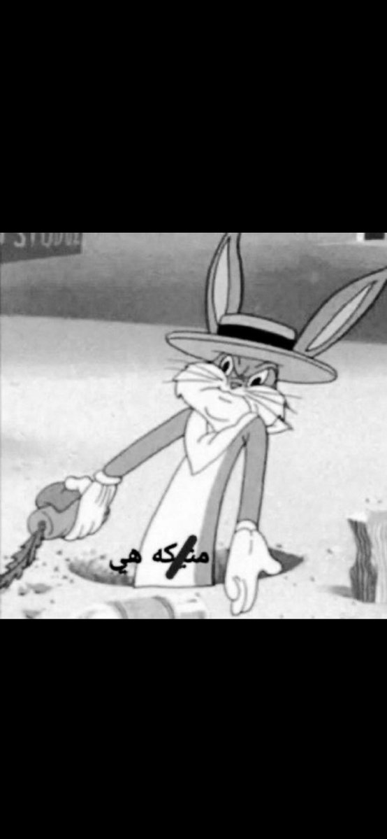 زيدان tweet media