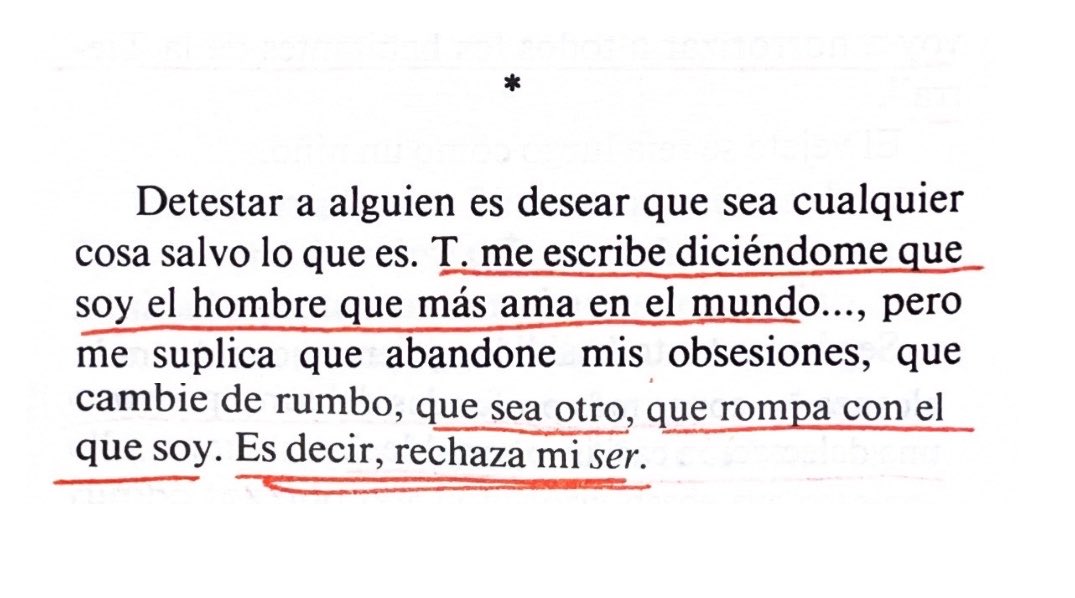 camila mermet tweet media