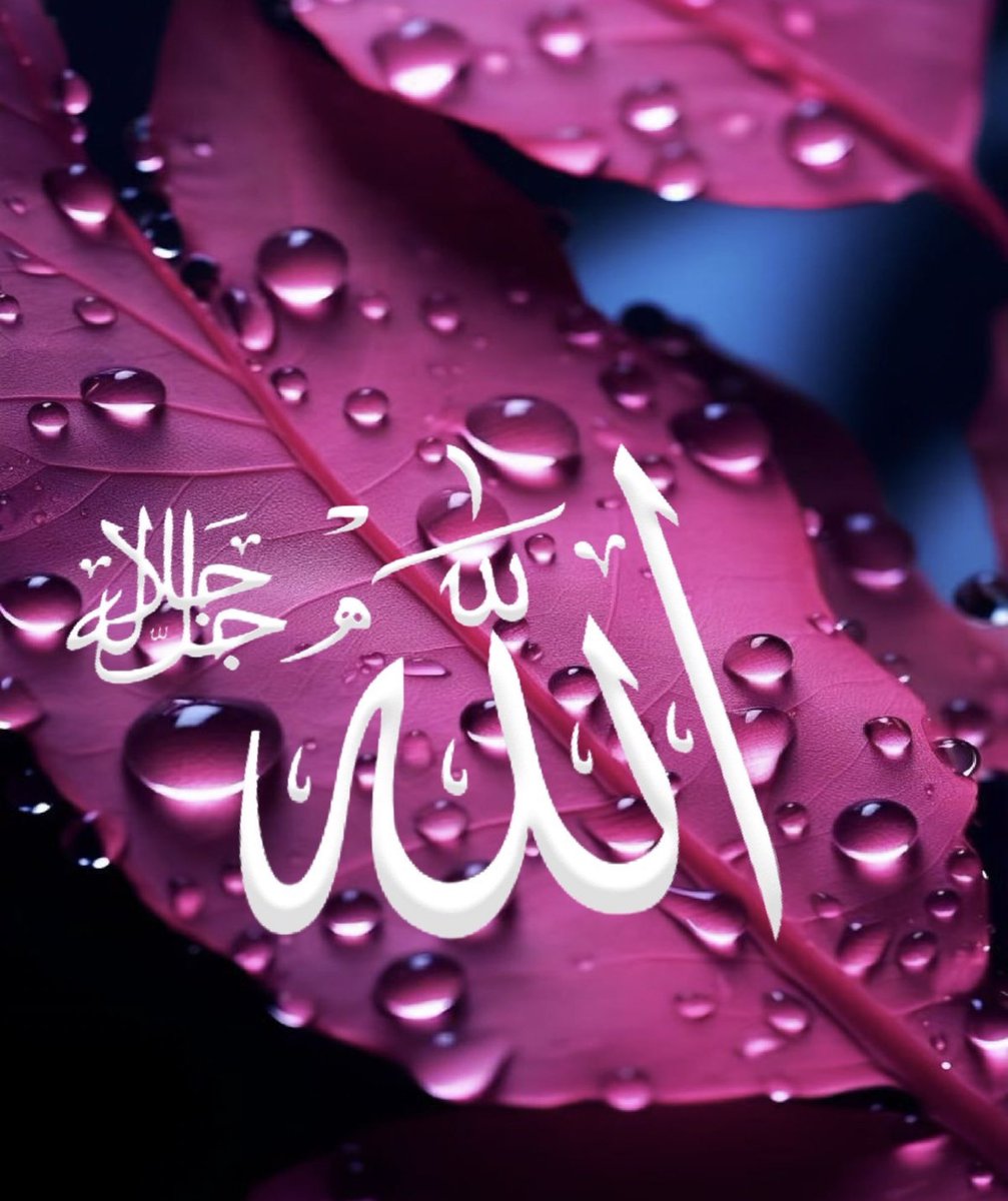 Amal Fatima tweet media