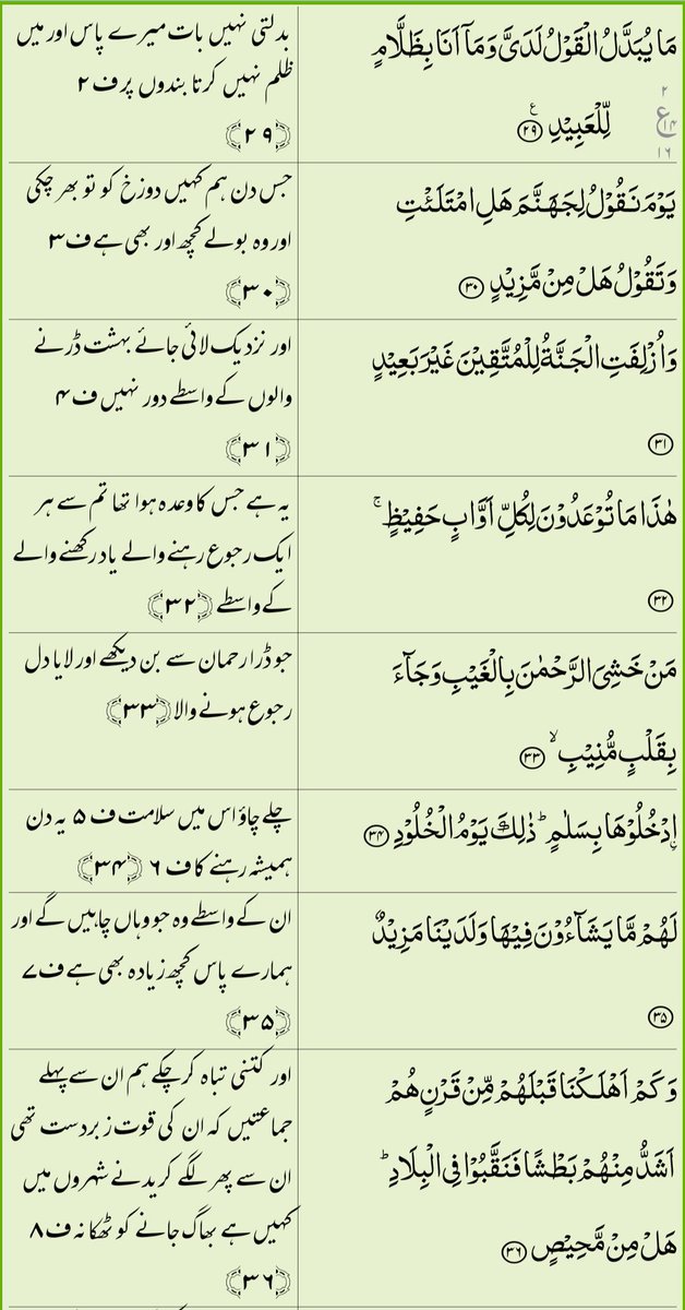 Amal Fatima tweet media