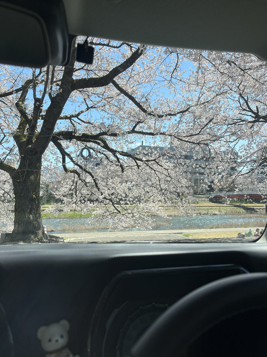 しずく tweet media