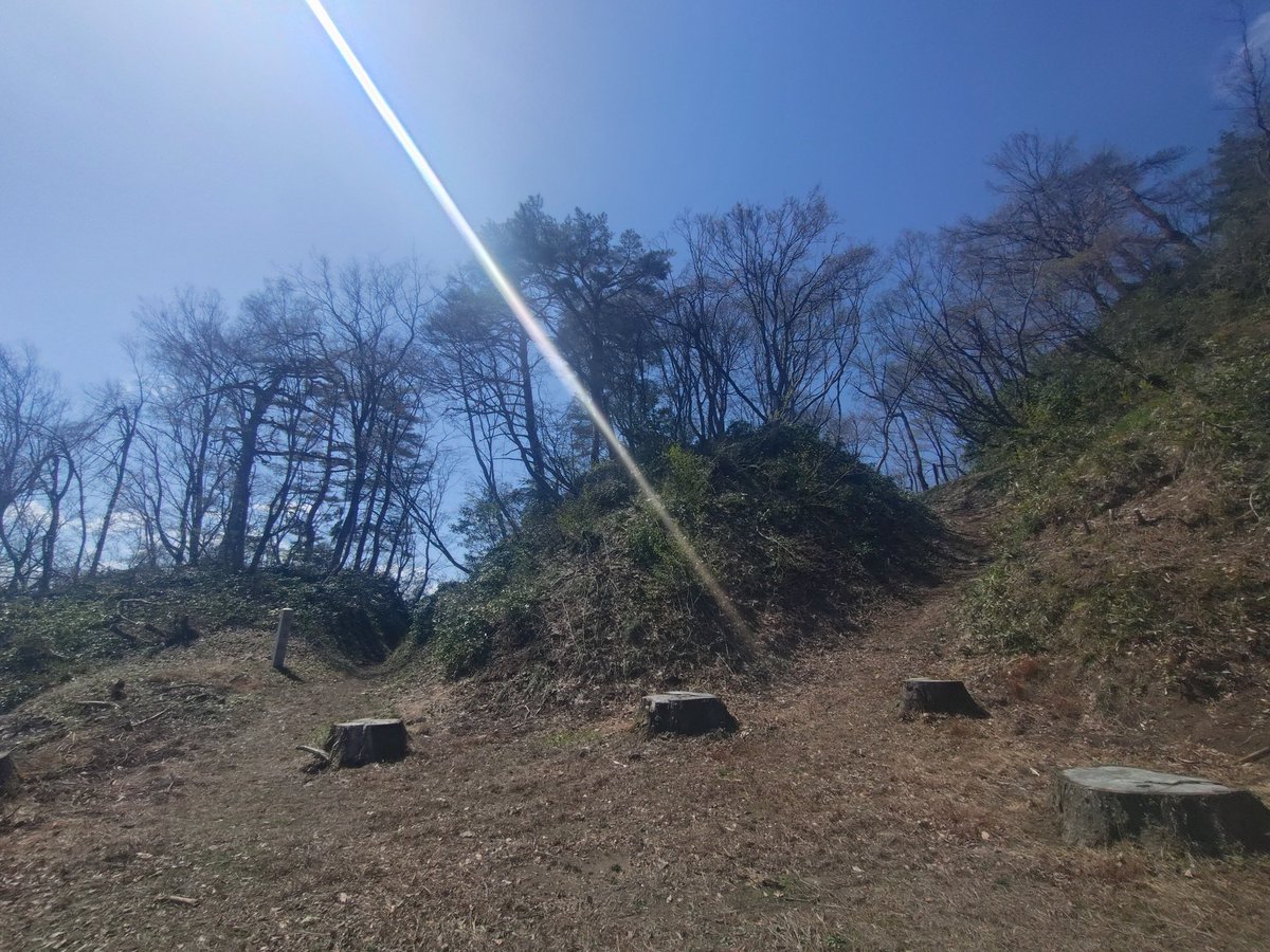 黒うさ tweet media