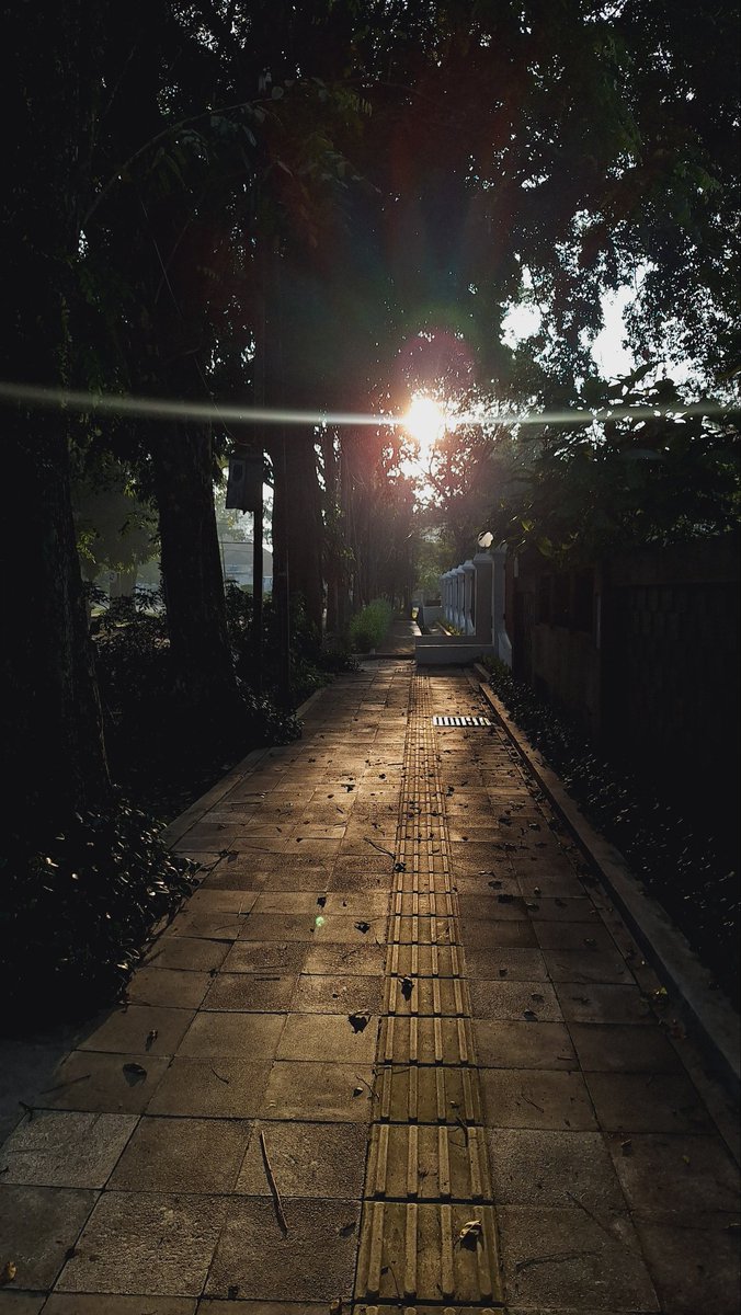 april jual kripik kuda lumping 🦖 tweet media