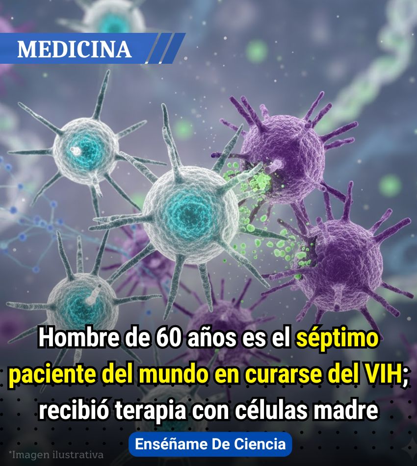 Enséñame de Ciencia tweet media