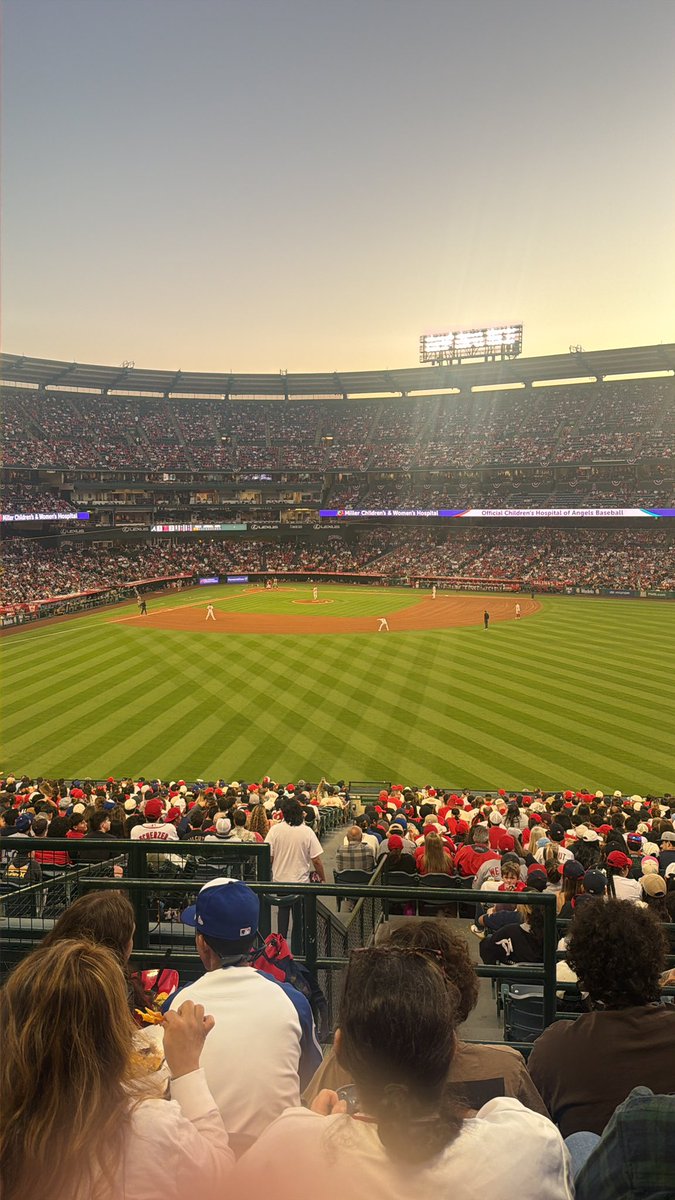 Dormant Halo tweet media