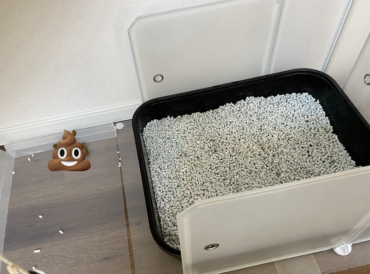 じぇいじぇい(JJ) tweet media