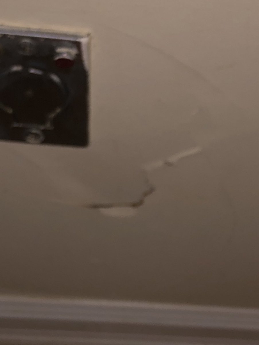 ke_will 🥝 tweet media