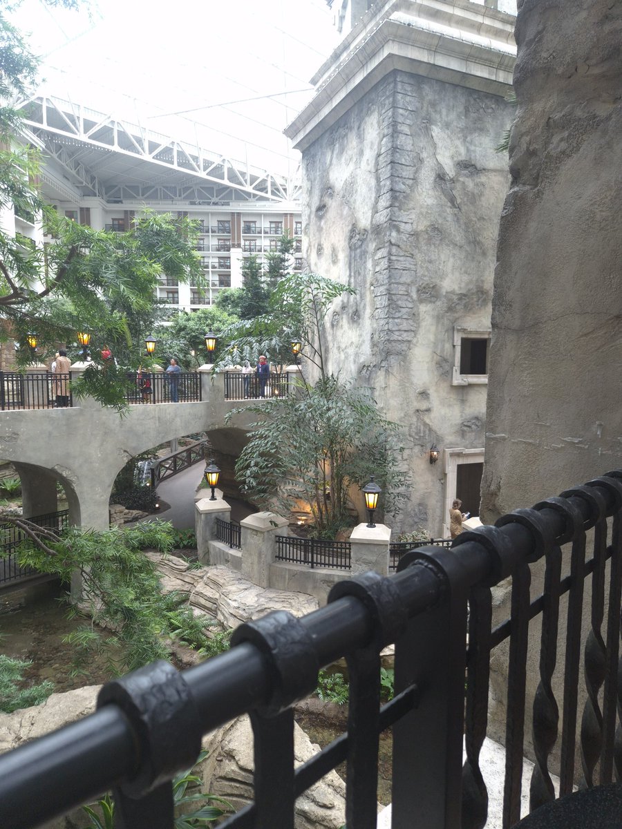 CleoKujo💀📓 tweet media