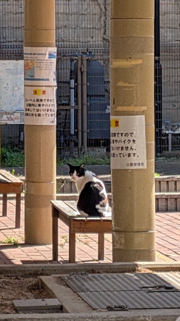 やんみい@草組4期生チャミチャンネル永久登録者 tweet media