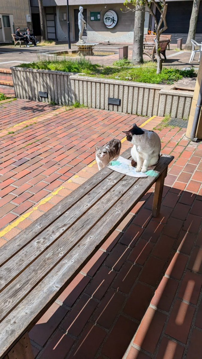 やんみい@草組4期生チャミチャンネル永久登録者 tweet media