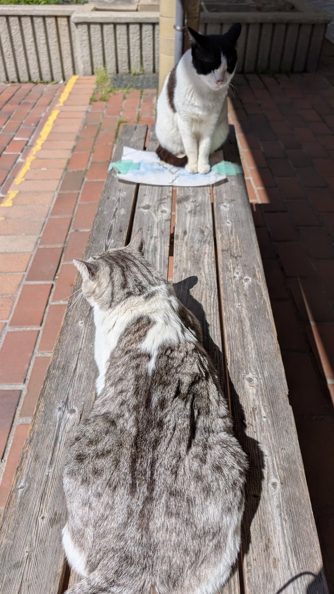 やんみい@草組4期生チャミチャンネル永久登録者 tweet media