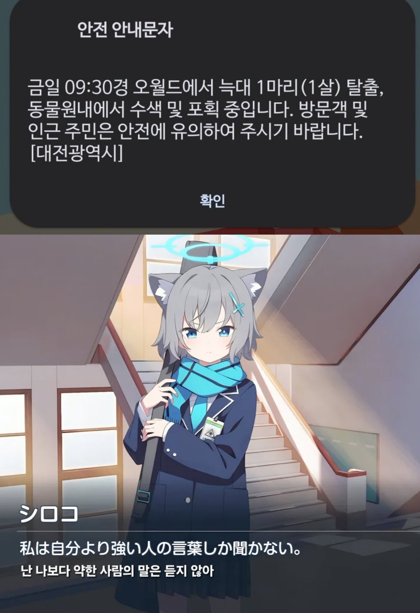 모래늑대🐺 tweet media